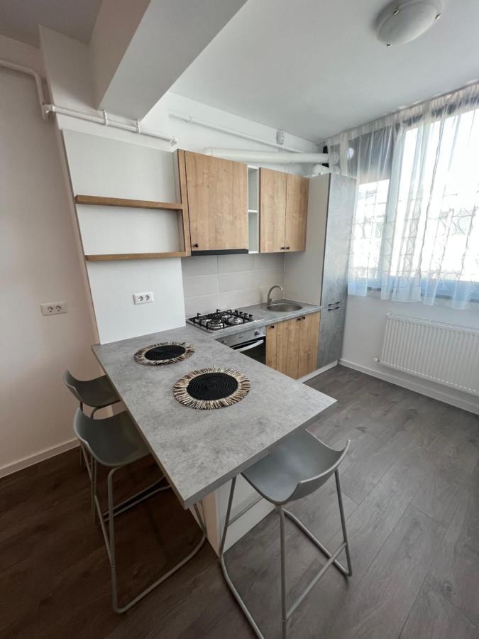 Sunny Apartments Suceava 64 외부 사진