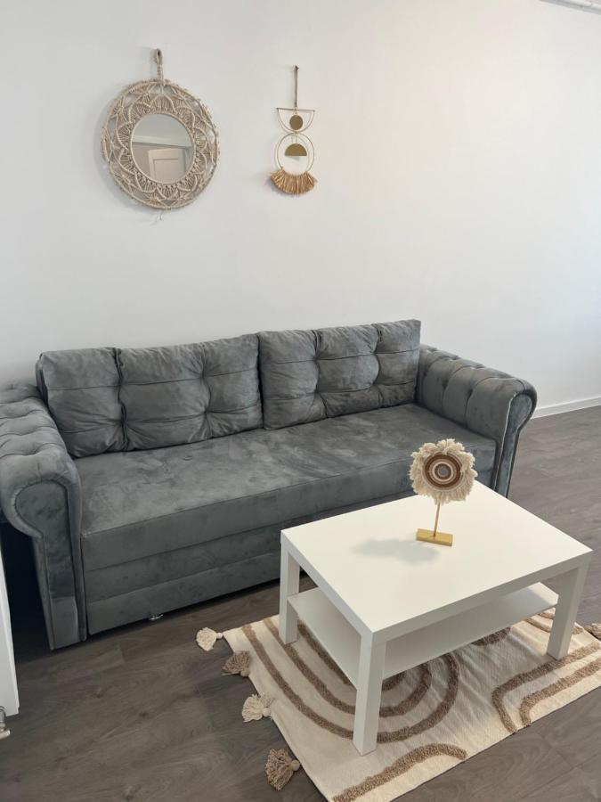 Sunny Apartments Suceava 64 외부 사진