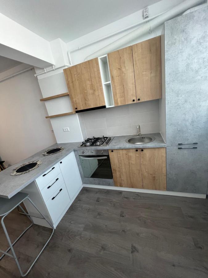 Sunny Apartments Suceava 64 외부 사진