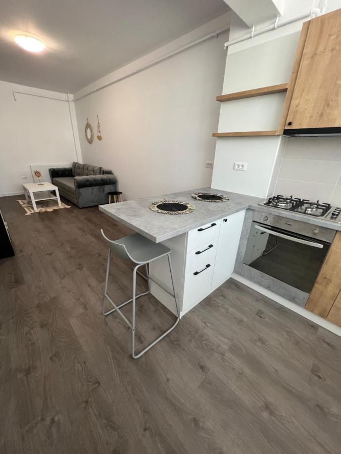 Sunny Apartments Suceava 64 외부 사진